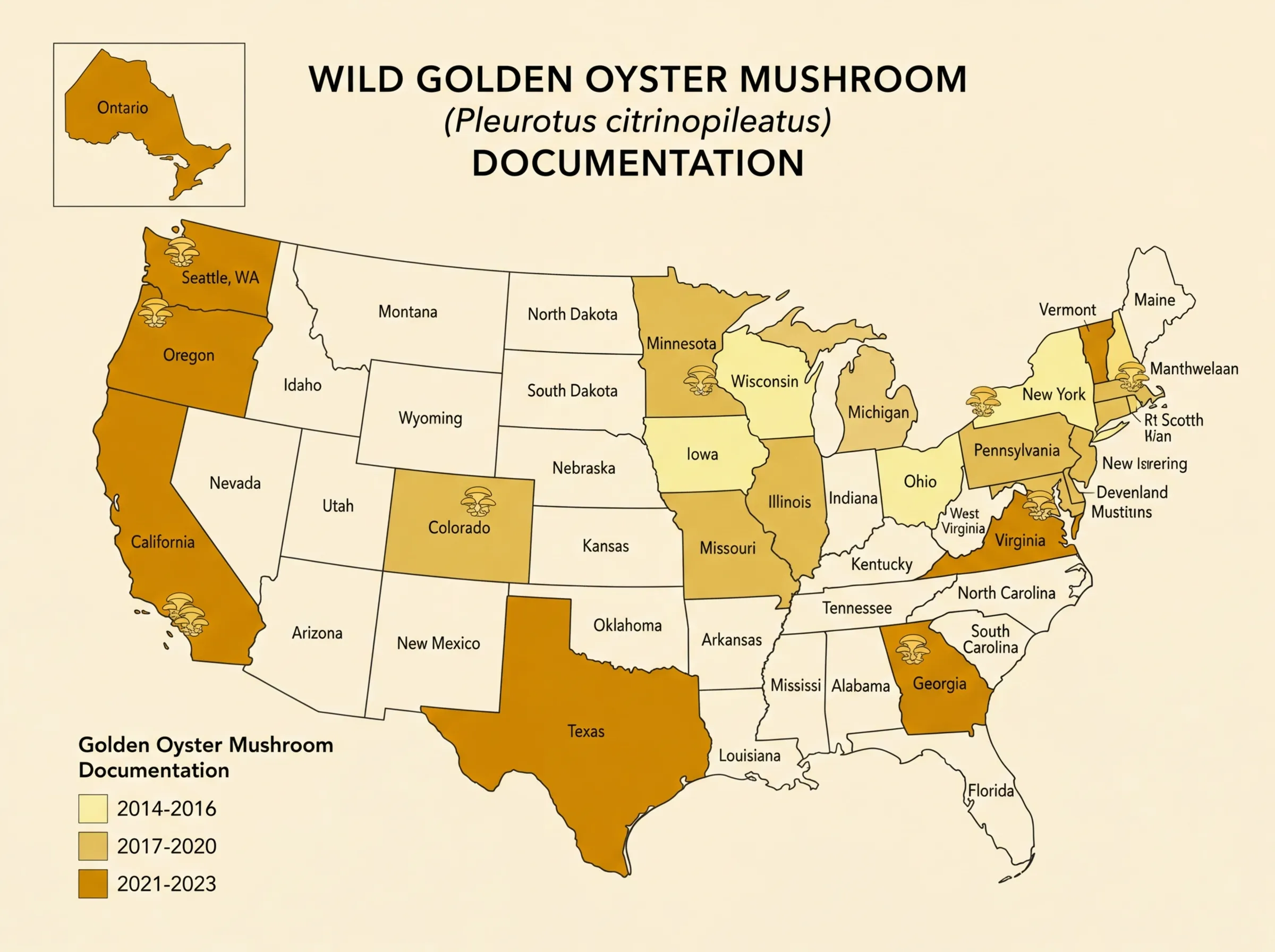 A map of the United States showing the progressive spread of golden oyster mushroom sightings from 2014 to 2023