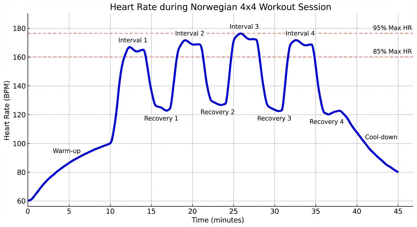 Heart rate graph showing the Norwegian 4x4 interval protocol