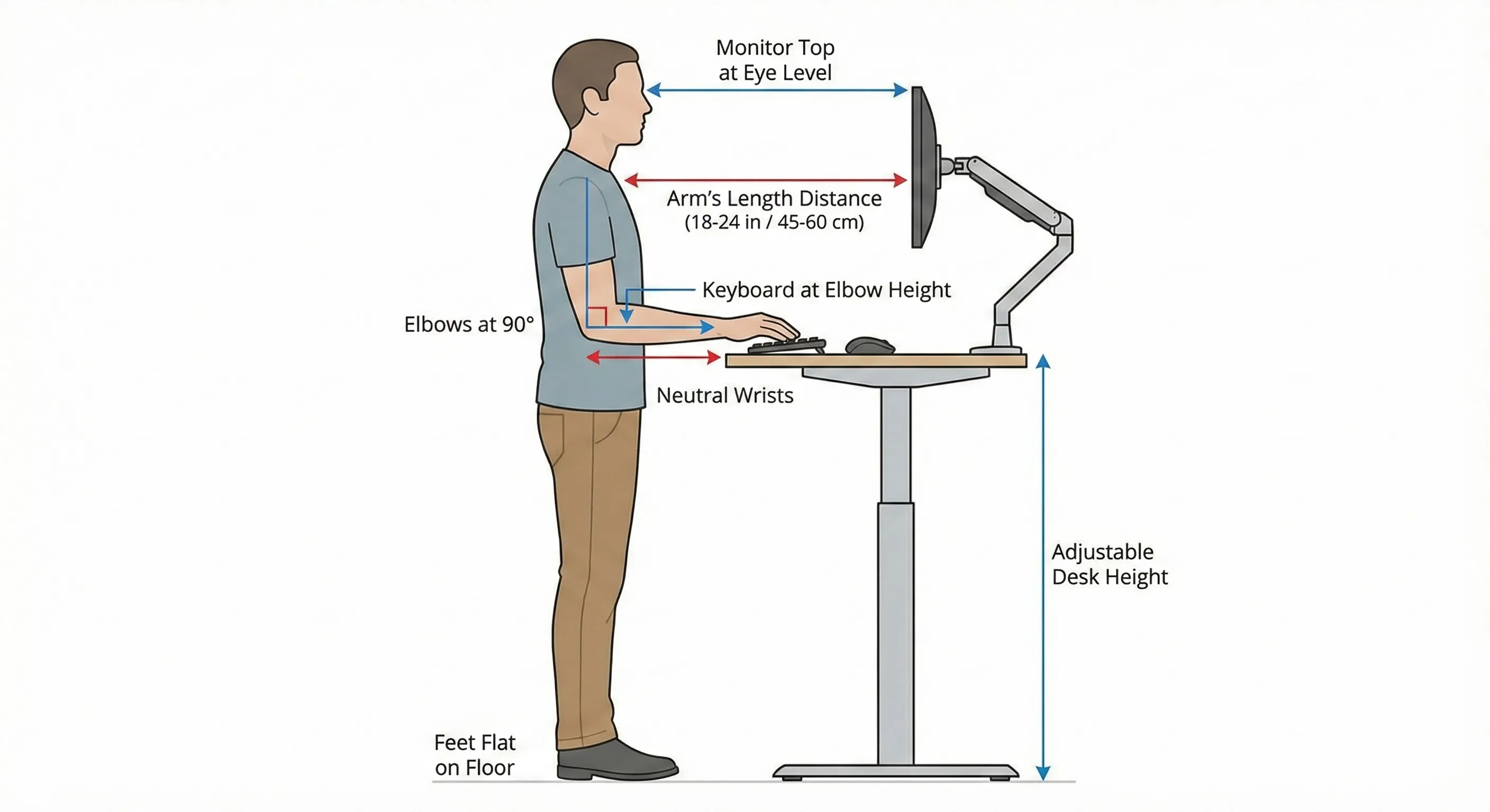 Diagram showing correct monitor and keyboard heights at a standing desk