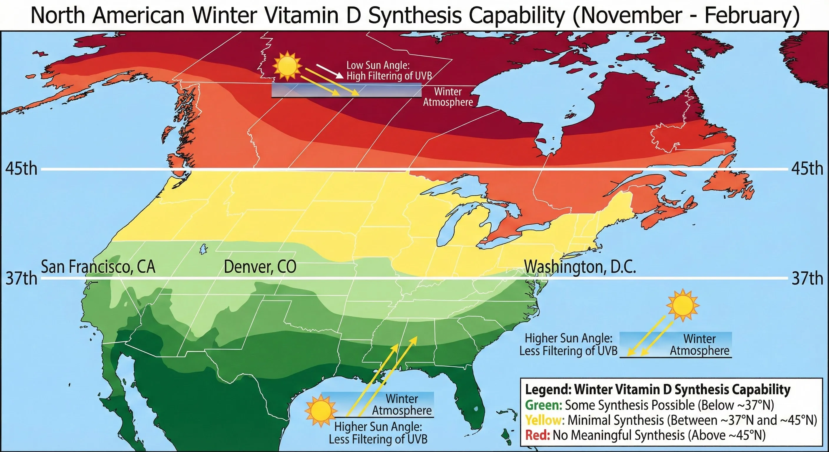 Map showing vitamin D synthesis capability by latitude during winter