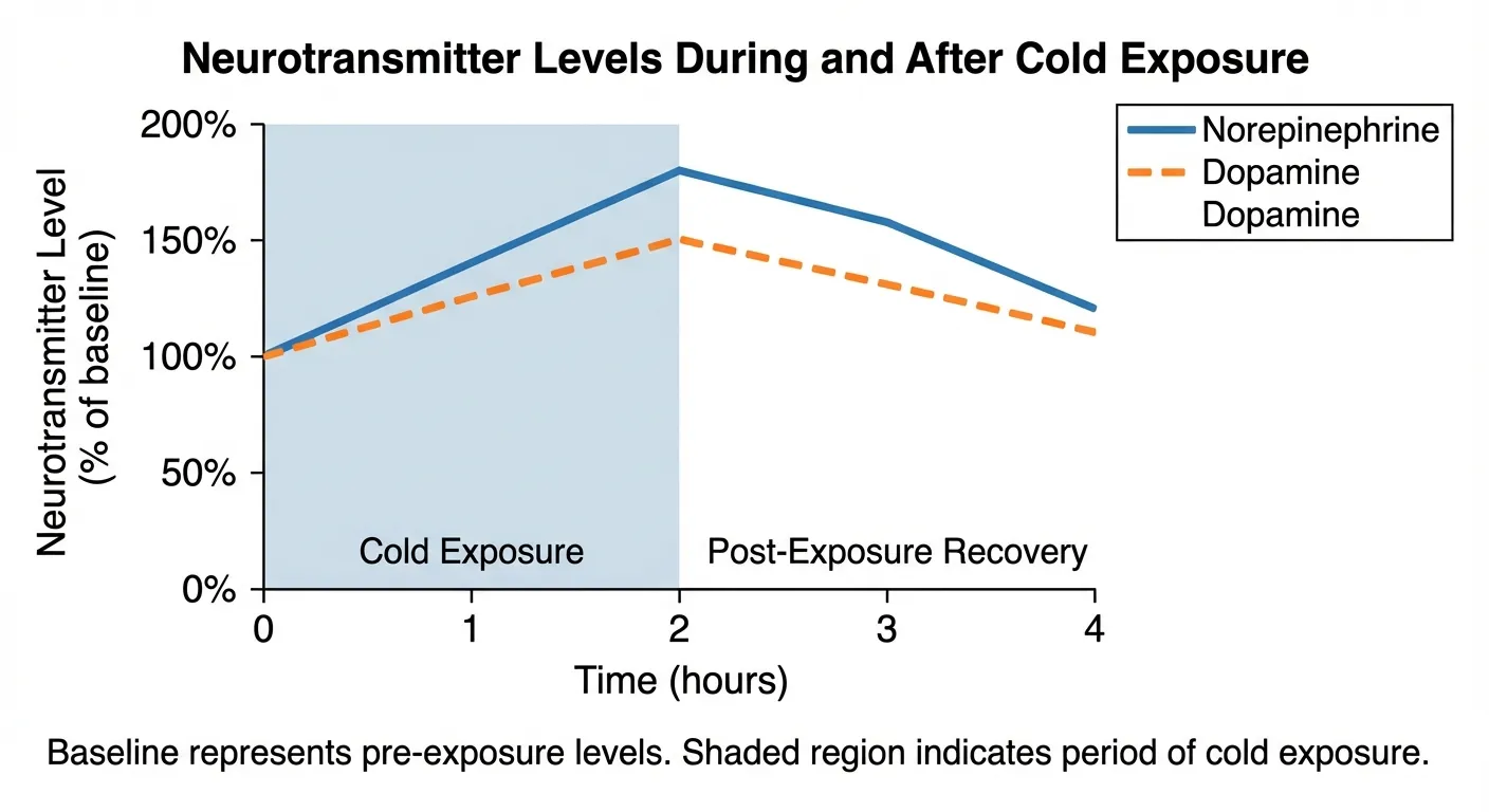 Neurotransmitter changes during cold exposure