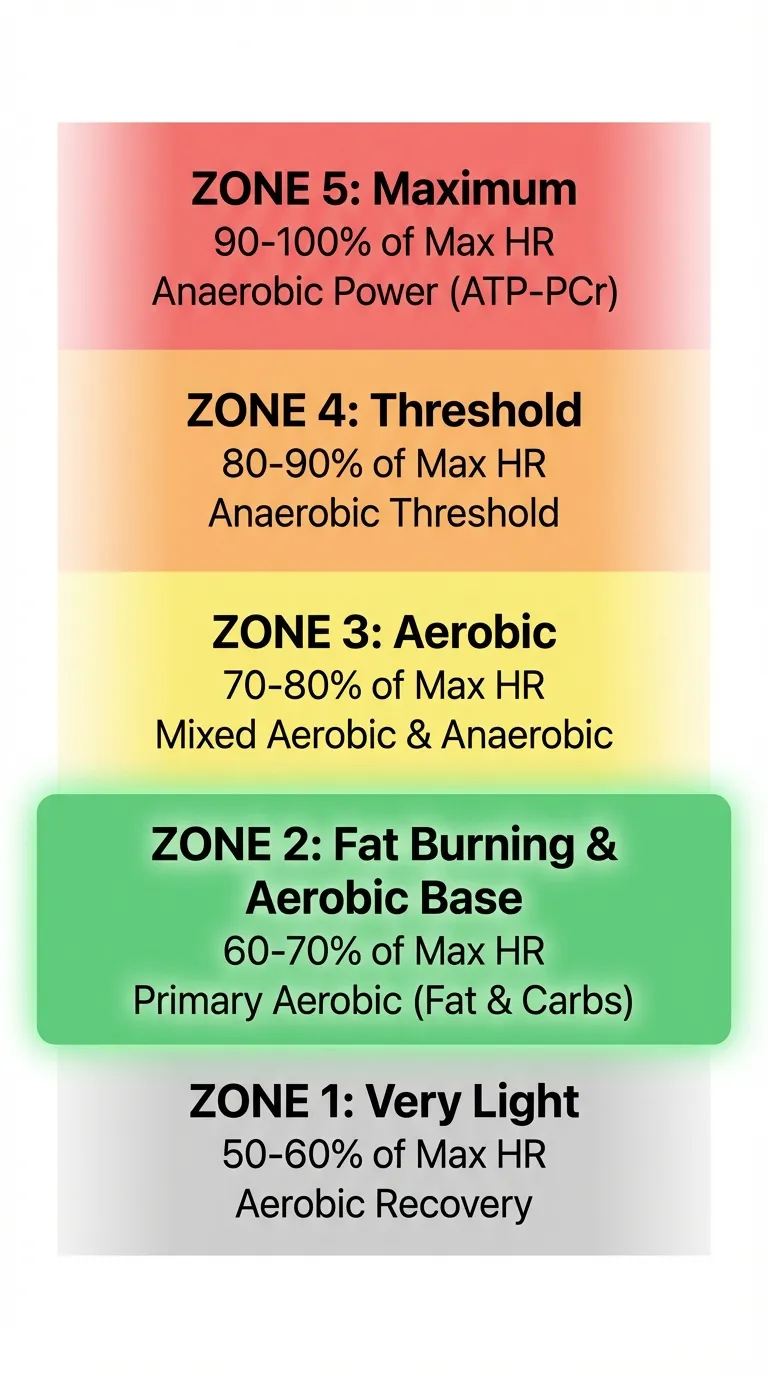Infographic showing exercise heart rate zones from zone one through zone five